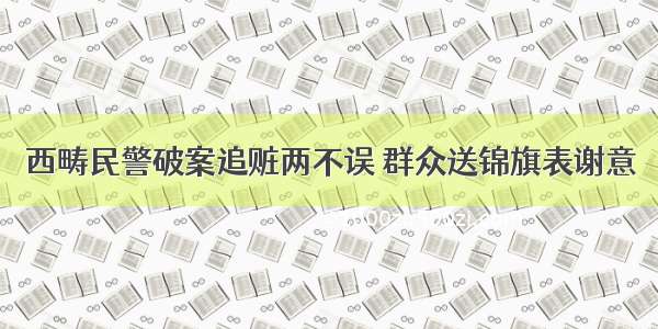 西畴民警破案追赃两不误 群众送锦旗表谢意