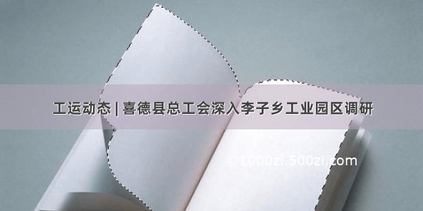 工运动态 | 喜德县总工会深入李子乡工业园区调研