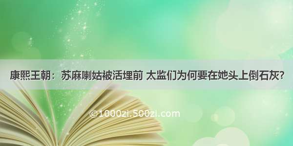 康熙王朝：苏麻喇姑被活埋前 太监们为何要在她头上倒石灰？