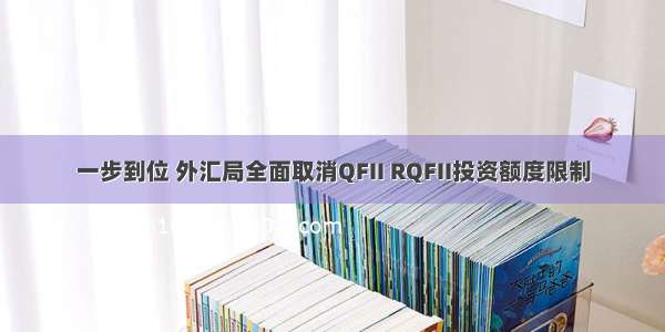 一步到位 外汇局全面取消QFII RQFII投资额度限制