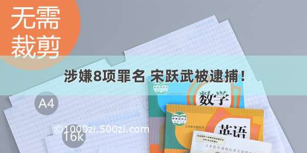 涉嫌8项罪名 宋跃武被逮捕！