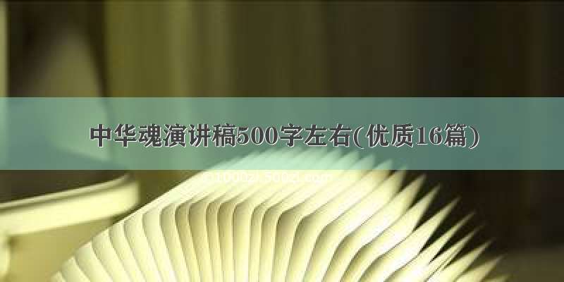 中华魂演讲稿500字左右(优质16篇)