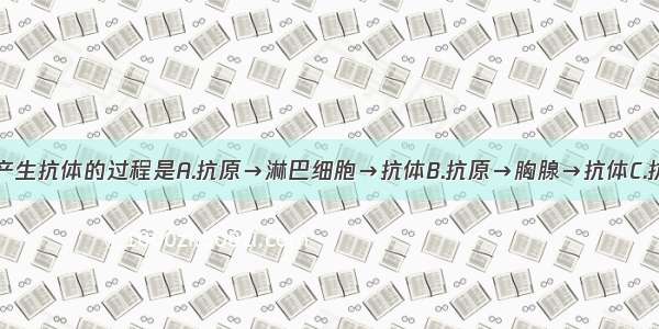 单选题人体产生抗体的过程是A.抗原→淋巴细胞→抗体B.抗原→胸腺→抗体C.抗原→脾脏→