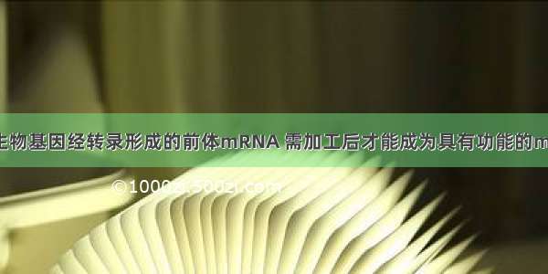 单选题真核生物基因经转录形成的前体mRNA 需加工后才能成为具有功能的mRNA。请问：