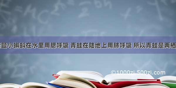 判断题小蝌蚪在水里用腮呼吸 青蛙在陆地上用肺呼吸 所以青蛙是两栖动物