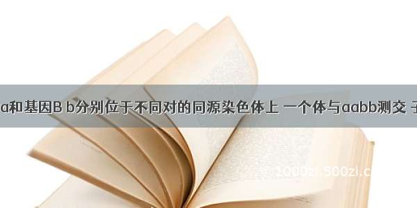 基因A a和基因B b分别位于不同对的同源染色体上 一个体与aabb测交 子代基