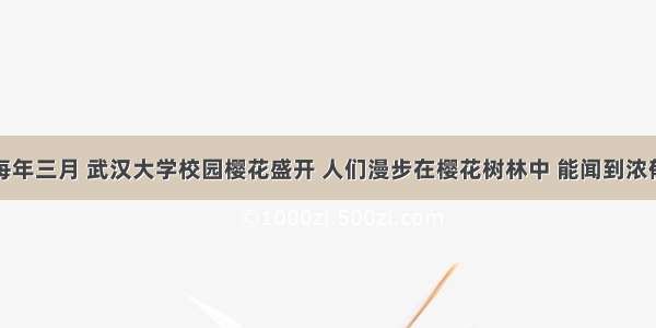 单选题每年三月 武汉大学校园樱花盛开 人们漫步在樱花树林中 能闻到浓郁的花香