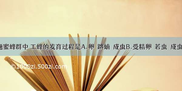 单选题蜜蜂群中 工蜂的发育过程是A.卵→跳蝻→成虫B.受精卵→若虫→成虫C.卵