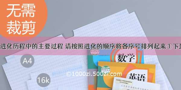 下列是人类进化历程中的主要过程 请按照进化的顺序将各序号排列起来①下到地面?②使