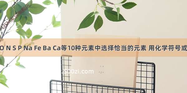 从C H O N S P Na Fe Ba Ca等10种元素中选择恰当的元素 用化学符号或化学方