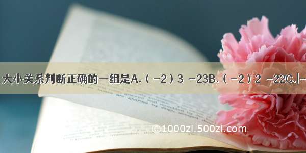 下列各组数中 大小关系判断正确的一组是A.（-2）3＞-23B.（-2）2＜-22C.|-3|＜-2D.-＞-