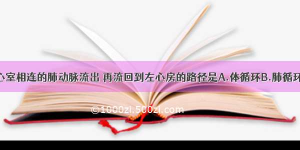 血液从与右心室相连的肺动脉流出 再流回到左心房的路径是A.体循环B.肺循环C.淋巴循环