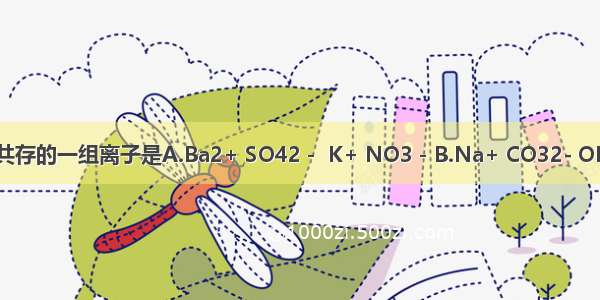 在水中能大量共存的一组离子是A.Ba2+ SO42－ K+ NO3－B.Na+ CO32- OH－ H+C.Na+