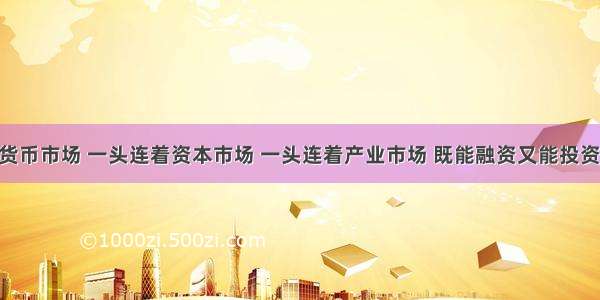 一头连着货币市场 一头连着资本市场 一头连着产业市场 既能融资又能投资 被誉为具