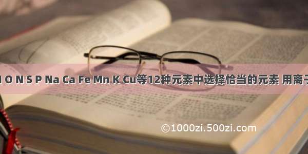 从C H O N S P Na Ca Fe Mn K Cu等12种元素中选择恰当的元素 用离子符号