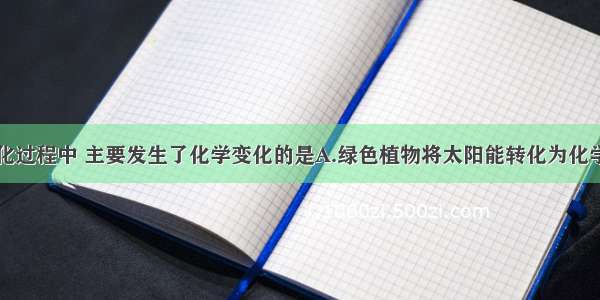 下面能量转化过程中 主要发生了化学变化的是A.绿色植物将太阳能转化为化学能B.水力发