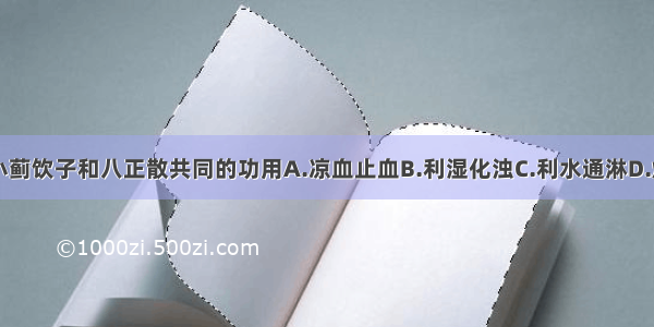 下列哪项是小蓟饮子和八正散共同的功用A.凉血止血B.利湿化浊C.利水通淋D.燥湿解毒E.泻