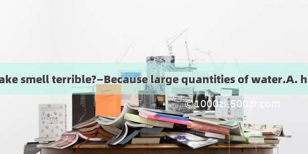 —Why does the lake smell terrible?—Because large quantities of water.A. have pollutedB. is