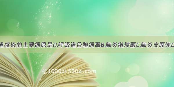 小儿上呼吸道感染的主要病原是A.呼吸道合胞病毒B.肺炎链球菌C.肺炎支原体D.衣原体E.轮