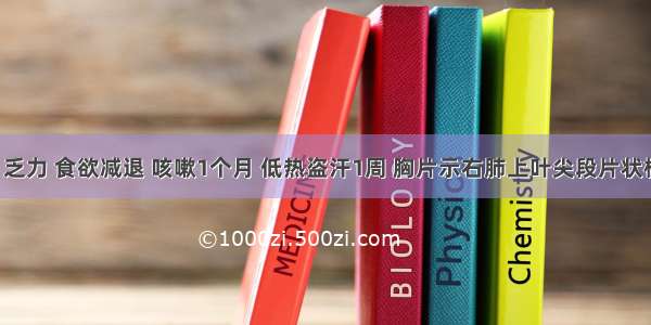 女 30岁 乏力 食欲减退 咳嗽1个月 低热盗汗1周 胸片示右肺上叶尖段片状模糊阴影