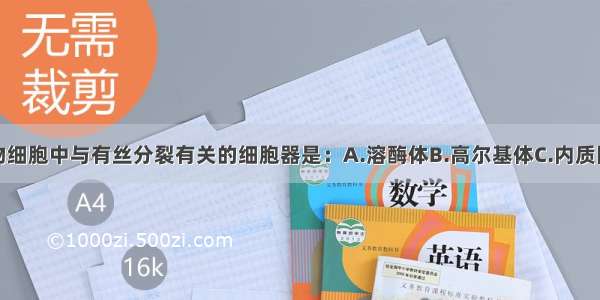 单选题动物细胞中与有丝分裂有关的细胞器是：A.溶酶体B.高尔基体C.内质网D.中心体