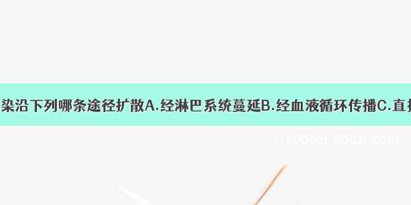 淋病奈瑟菌感染沿下列哪条途径扩散A.经淋巴系统蔓延B.经血液循环传播C.直接蔓延D.沿生