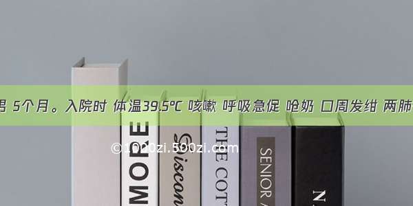 患儿 男 5个月。入院时 体温39.5℃ 咳嗽 呼吸急促 呛奶 口周发绀 两肺有固定