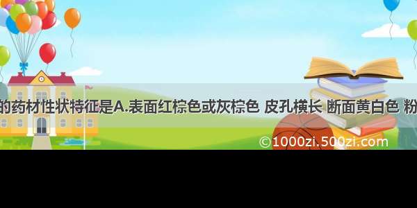 栽培丹参的药材性状特征是A.表面红棕色或灰棕色 皮孔横长 断面黄白色 粉性 可见形