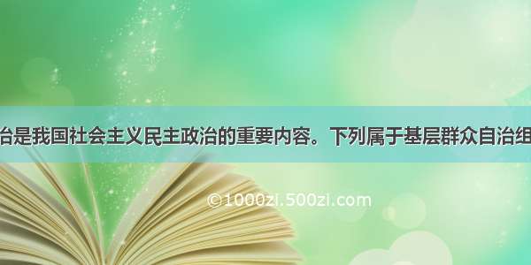 基层群众自治是我国社会主义民主政治的重要内容。下列属于基层群众自治组织的是A. 自