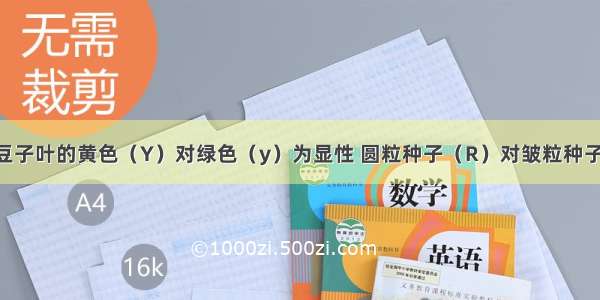 （8分）豌豆子叶的黄色（Y）对绿色（y）为显性 圆粒种子（R）对皱粒种子（r）为显性