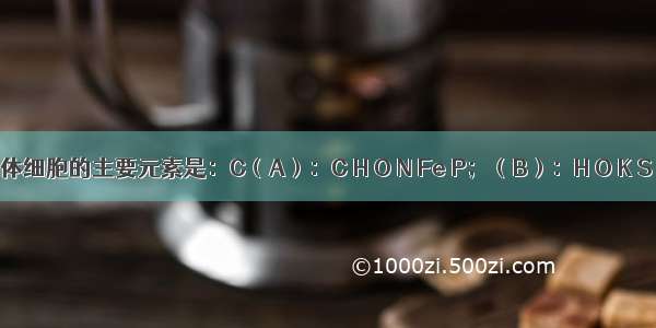 组成玉米体细胞的主要元素是：C（A）：C H O N Fe P；（B）：H O K S Fe Mg