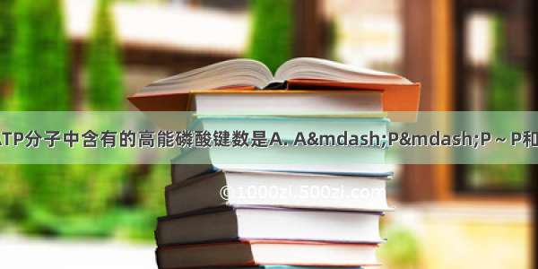 ATP的结构简式和10个ATP分子中含有的高能磷酸键数是A. A&mdash;P&mdash;P～P和10个B. A&mdash;P～P