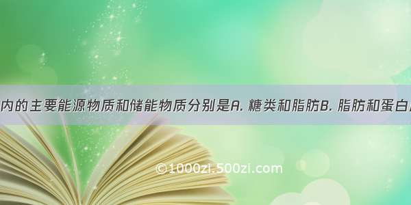 16.大雁体内的主要能源物质和储能物质分别是A. 糖类和脂肪B. 脂肪和蛋白质C. 脂肪