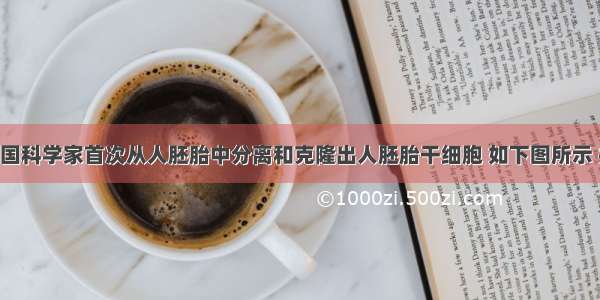 1997年 我国科学家首次从人胚胎中分离和克隆出人胚胎干细胞 如下图所示 并分化得到