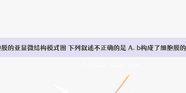 右图为细胞膜的亚显微结构模式图 下列叙述不正确的是 A. b构成了细胞膜的基本骨架B