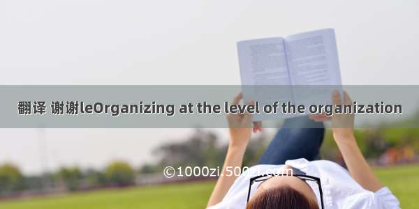 翻译 谢谢leOrganizing at the level of the organization