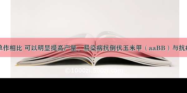 玉米间作与单作相比 可以明显提高产量。易染病抗倒伏玉米甲（aaBB）与抗病易倒伏玉米