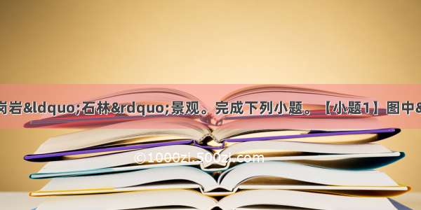 下图为内蒙古某山一处花岗岩&ldquo;石林&rdquo;景观。完成下列小题。【小题1】图中&ldquo;石林&rdquo;景观