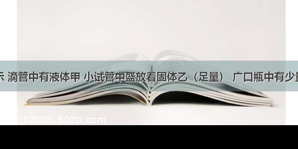 如右图所示 滴管中有液体甲 小试管中盛放着固体乙（足量） 广口瓶中有少量饱和的澄