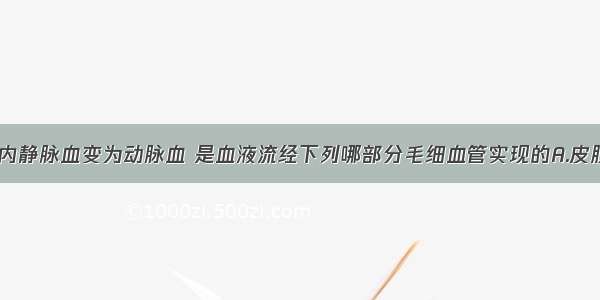 单选题人体内静脉血变为动脉血 是血液流经下列哪部分毛细血管实现的A.皮肤B.口腔壁C.