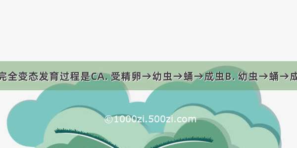 蝗虫的不完全变态发育过程是CA. 受精卵→幼虫→蛹→成虫B. 幼虫→蛹→成虫C. 受精