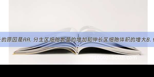 根不断伸长的原因是AA. 分生区细胞数量的增加和伸长区细胞体积的增大B. 伸长区细胞