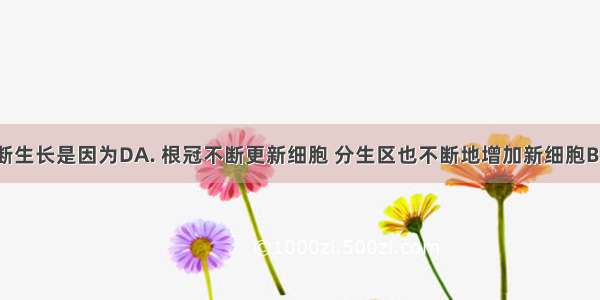 一条根不断生长是因为DA. 根冠不断更新细胞 分生区也不断地增加新细胞B. 成熟区细