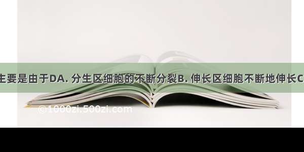 根的伸长主要是由于DA. 分生区细胞的不断分裂B. 伸长区细胞不断地伸长C. 根尖所有