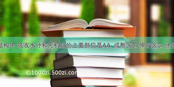 在根尖的结构中 吸收水分和无机盐的主要部位是AA. 成熟区B. 伸长区C. 分生区D. 根冠