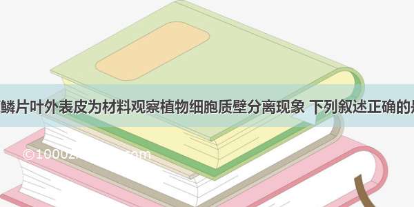 以紫色洋葱鳞片叶外表皮为材料观察植物细胞质壁分离现象 下列叙述正确的是A. 在发生