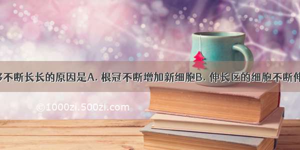 一条根能够不断长长的原因是A. 根冠不断增加新细胞B. 伸长区的细胞不断伸长C. 分生