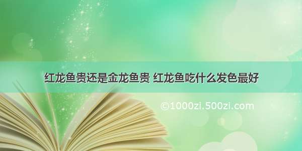 红龙鱼贵还是金龙鱼贵 红龙鱼吃什么发色最好