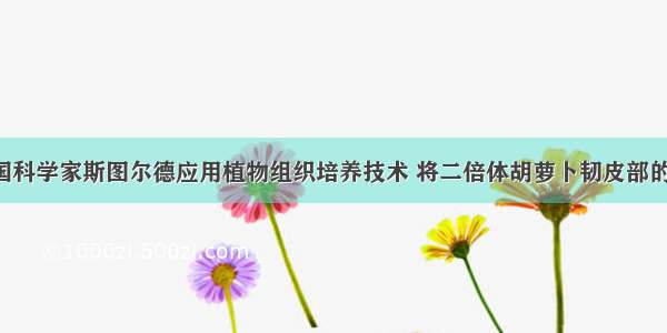 1958年 美国科学家斯图尔德应用植物组织培养技术 将二倍体胡萝卜韧皮部的一些细胞进