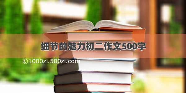 细节的魅力初二作文500字